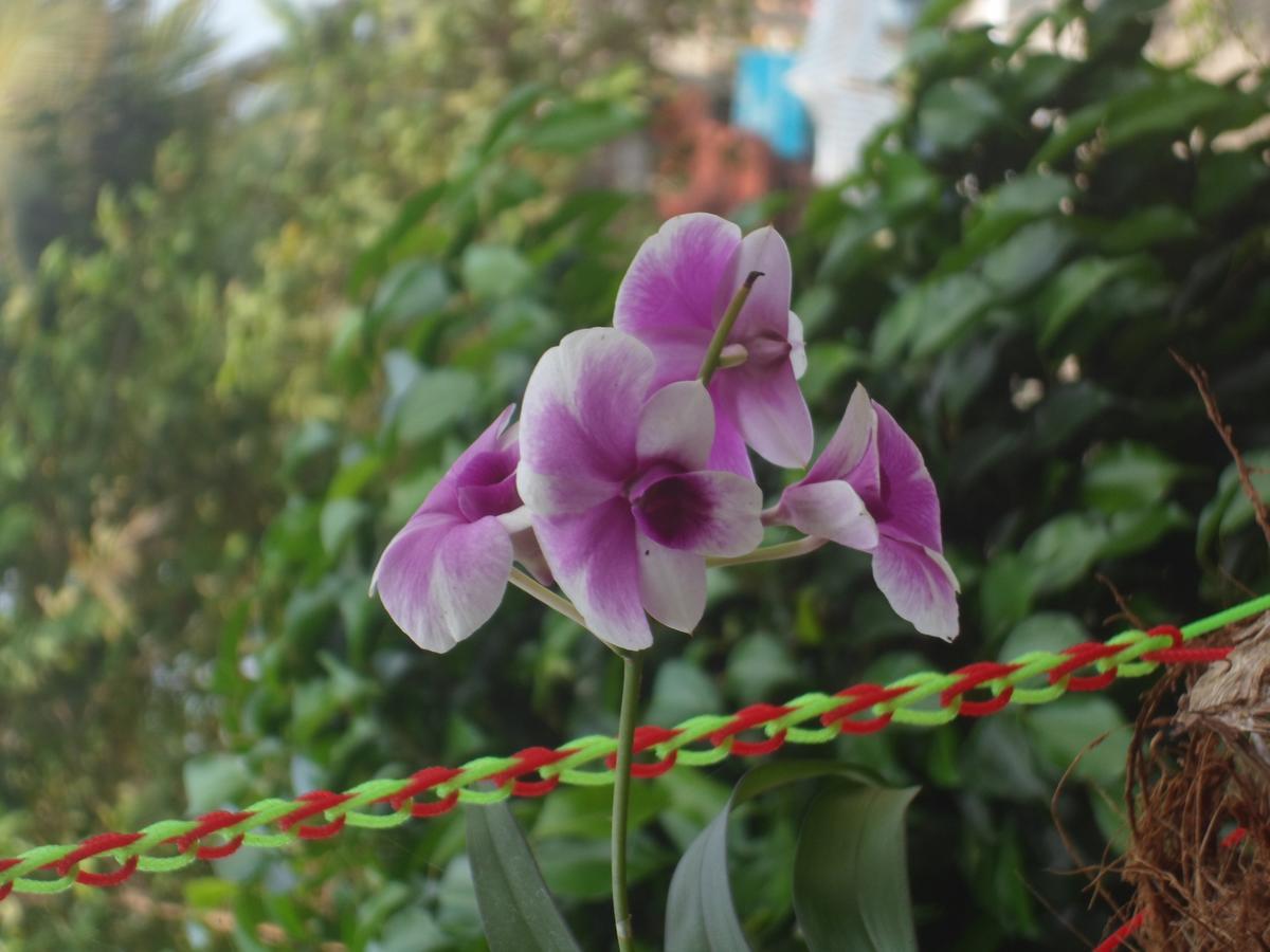 New Heaven Beach Resort Varkala Kültér fotó