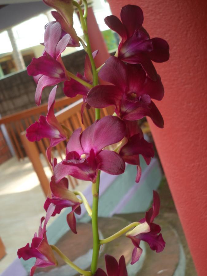 New Heaven Beach Resort Varkala Kültér fotó
